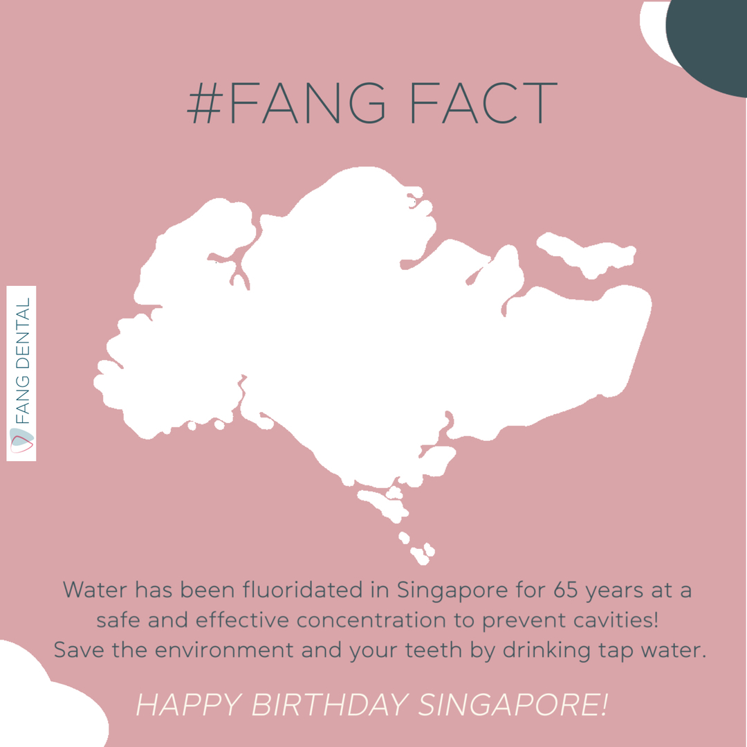 We thought to share a SG fang fact today 🦷 - Singapore is the first country in Asia to institute a comprehensive fluoridation program which covers 100% of the population! Happy National Day and Happy Birthday Singapore! 🇸🇬⠀⠀⠀⠀⠀⠀⠀⠀⠀⠀⠀⠀⠀⠀⠀⠀⠀⠀
.⠀⠀⠀⠀⠀⠀⠀⠀⠀⠀⠀⠀⠀⠀⠀⠀⠀⠀
.⠀⠀⠀⠀⠀⠀⠀⠀⠀⠀⠀⠀⠀⠀⠀⠀⠀⠀
.⠀⠀⠀⠀⠀⠀⠀⠀⠀⠀⠀⠀⠀⠀⠀⠀⠀⠀
 #sgdentist #dentistsg #singaporedentist #sgdental #dentalsg #sustainabledental #sustainabledentalcare #dentistorchard #orcharddentist #dentalclinicsg #sgdentalclinic